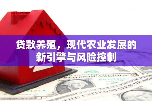 茄萣贷款养殖，现代农业发展的新引擎与风险控制