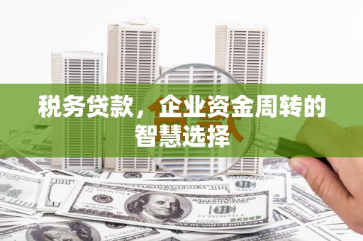 茄萣税务贷款，企业资金周转的智慧选择