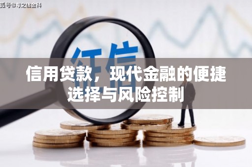 茄萣信用贷款，现代金融的便捷选择与风险控制