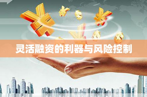 茄萣灵活融资的利器与风险控制