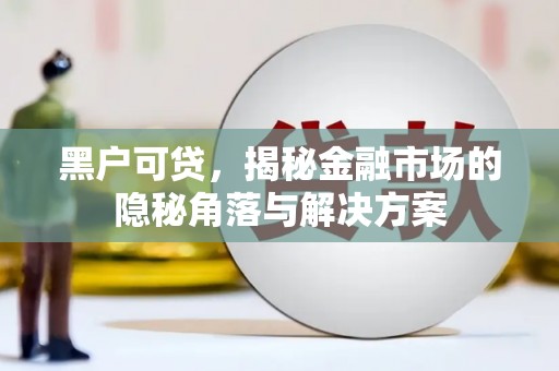 茄萣黑户可贷，揭秘金融市场的隐秘角落与解决方案