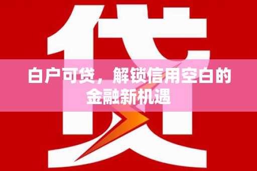 茄萣白户可贷，解锁信用空白的金融新机遇