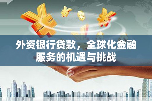 茄萣外资银行贷款，全球化金融服务的机遇与挑战