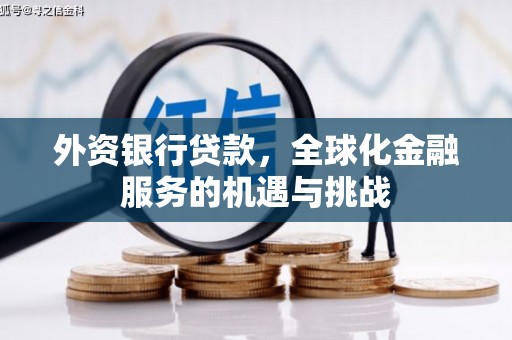 茄萣外资银行贷款，全球化金融服务的机遇与挑战