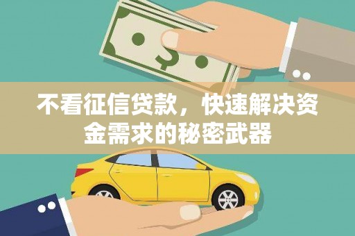茄萣不看征信贷款，快速解决资金需求的秘密武器
