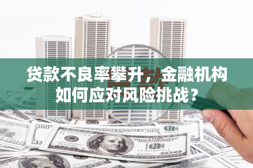 茄萣贷款不良率攀升，金融机构如何应对风险挑战？