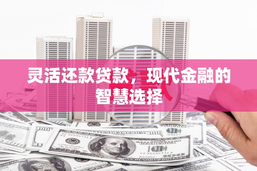 茄萣灵活还款贷款，现代金融的智慧选择