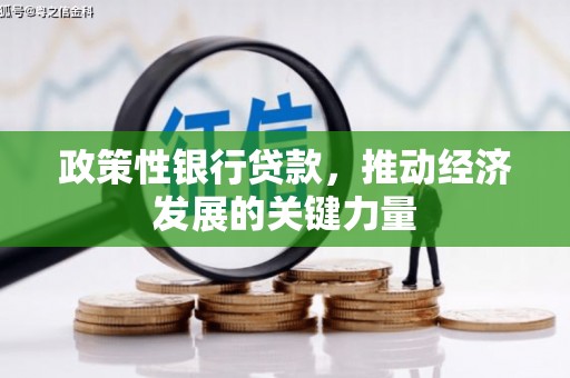 茄萣政策性银行贷款，推动经济发展的关键力量
