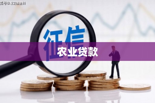 茄萣农业贷款