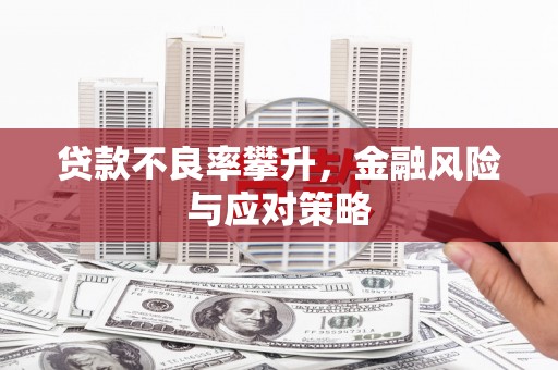茄萣贷款不良率攀升，金融风险与应对策略