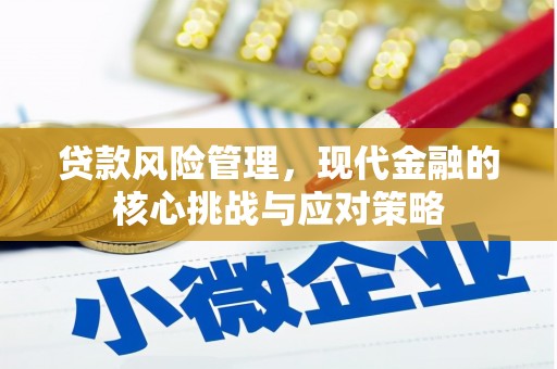 茄萣贷款风险管理，现代金融的核心挑战与应对策略