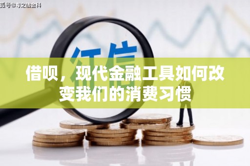 茄萣借呗，现代金融工具如何改变我们的消费习惯