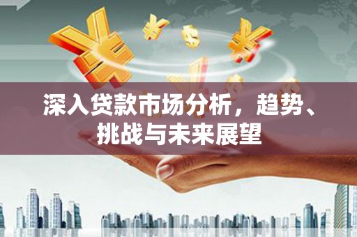 茄萣深入贷款市场分析，趋势、挑战与未来展望