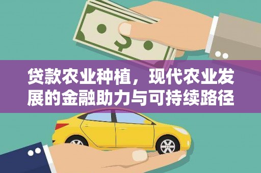 茄萣贷款农业种植，现代农业发展的金融助力与可持续路径