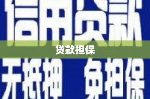茄萣贷款担保