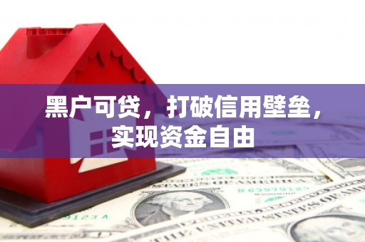 茄萣黑户可贷，打破信用壁垒，实现资金自由