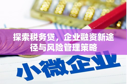 茄萣探索税务贷，企业融资新途径与风险管理策略