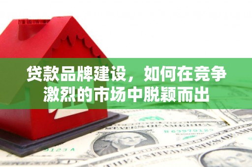 茄萣贷款品牌建设，如何在竞争激烈的市场中脱颖而出