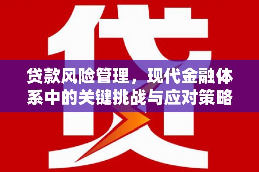 茄萣贷款风险管理，现代金融体系中的关键挑战与应对策略