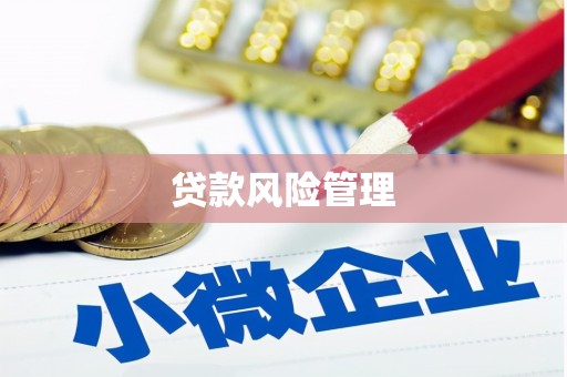 茄萣贷款风险管理