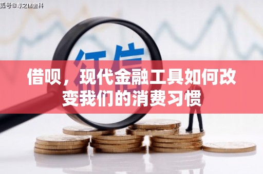 茄萣借呗，现代金融工具如何改变我们的消费习惯
