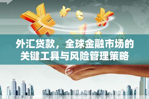 茄萣外汇贷款，全球金融市场的关键工具与风险管理策略