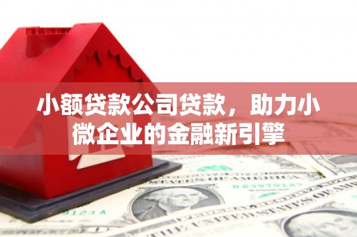 茄萣小额贷款公司贷款，助力小微企业的金融新引擎