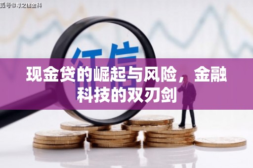 茄萣现金贷的崛起与风险，金融科技的双刃剑