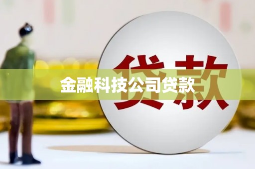 茄萣金融科技公司贷款