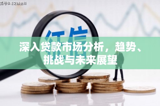 茄萣深入贷款市场分析，趋势、挑战与未来展望