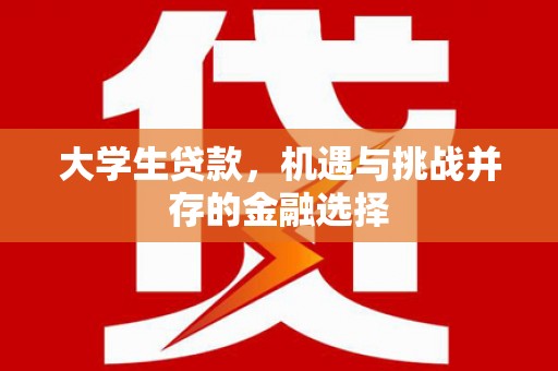 茄萣大学生贷款，机遇与挑战并存的金融选择