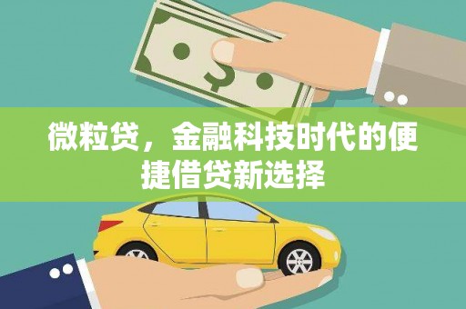 茄萣微粒贷，金融科技时代的便捷借贷新选择