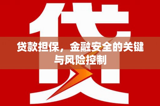 茄萣贷款担保，金融安全的关键与风险控制