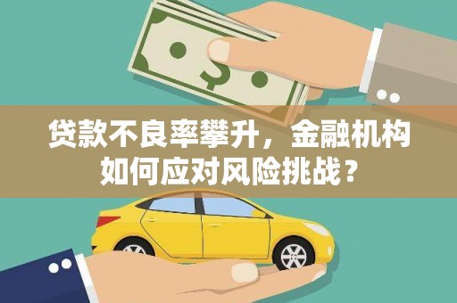 茄萣贷款不良率攀升，金融机构如何应对风险挑战？