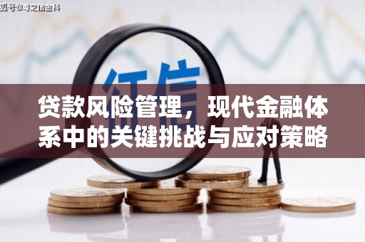 茄萣贷款风险管理，现代金融体系中的关键挑战与应对策略