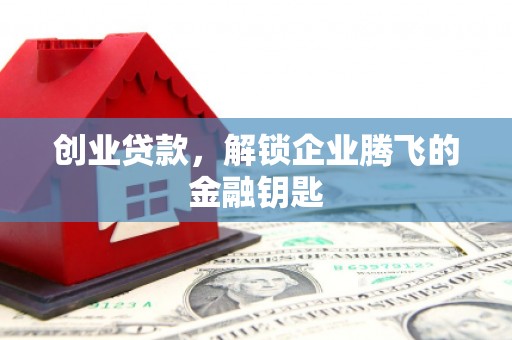 茄萣创业贷款，解锁企业腾飞的金融钥匙